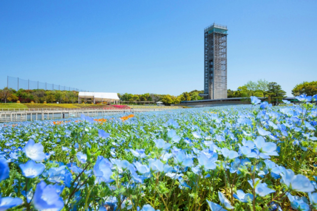 【愛犬と浜名湖へ!】浜名湖ガーデンパーク