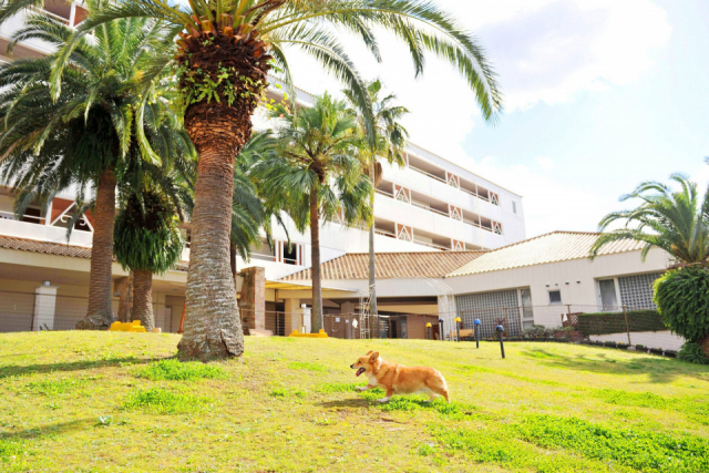 【愛犬と浜名湖へ!】浜名湖レークサイドプラザ ドッグカフェ&ドッグラン Cafe The Rodhos