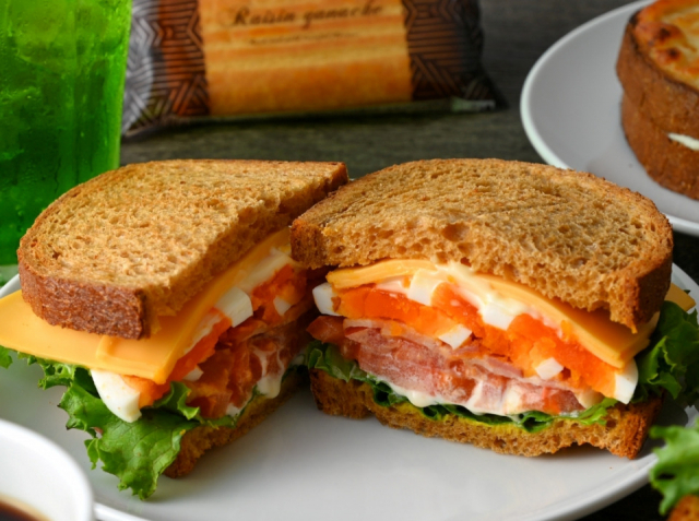 【愛犬と浜名湖へ!】NEOPASA浜松サービスエリア