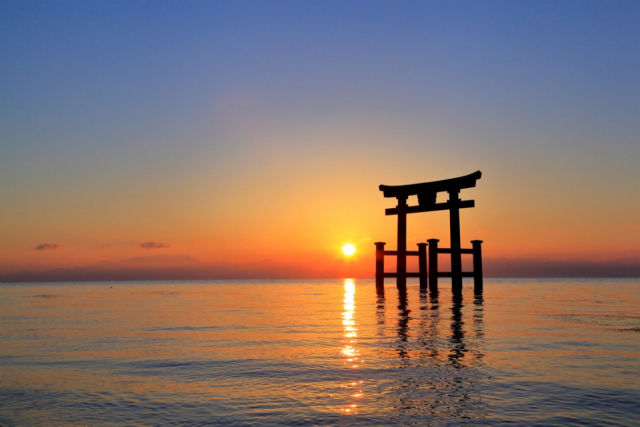 【愛犬と琵琶湖へ行こう!】白鬚神社(湖西エリア)