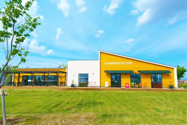 【愛犬と琵琶湖へ行こう!】ストロベリーファクトリー(大津・湖南エリア)