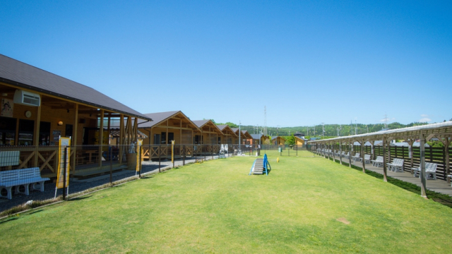 【愛犬と琵琶湖へ行こう!】かばたリゾート(湖西エリア)