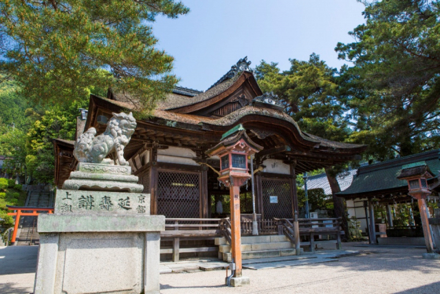 【愛犬と琵琶湖へ行こう!】白鬚神社(湖西エリア)