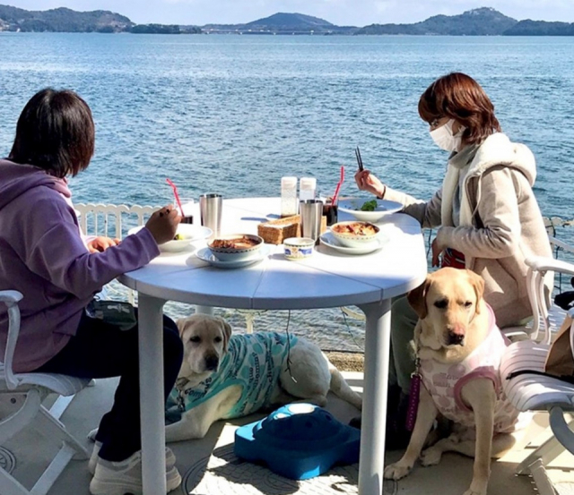 【愛犬と浜名湖へ!】ラリーズカンパニー