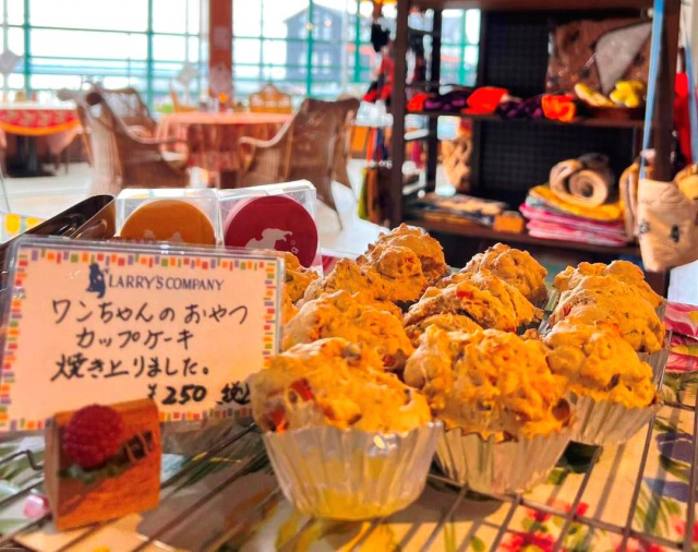 【愛犬と浜名湖へ!】ラリーズカンパニー