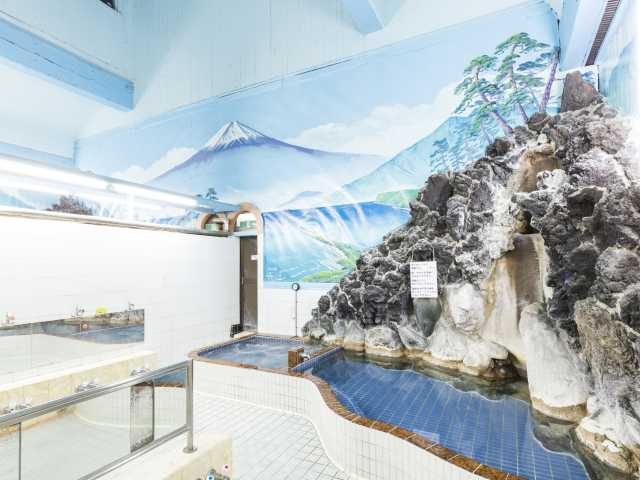 【東京・台東区の日帰り温泉】燕湯