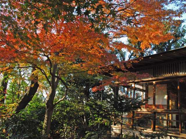 東京都内の庭園おすすめ2.実篤公園(調布市)