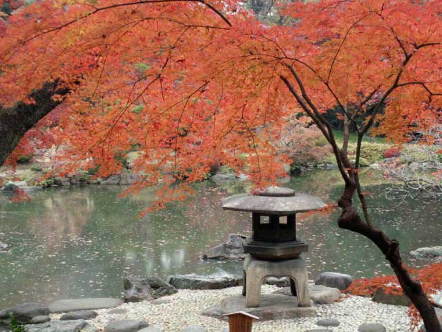 東京都内の庭園おすすめ6.旧古河庭園(北区)