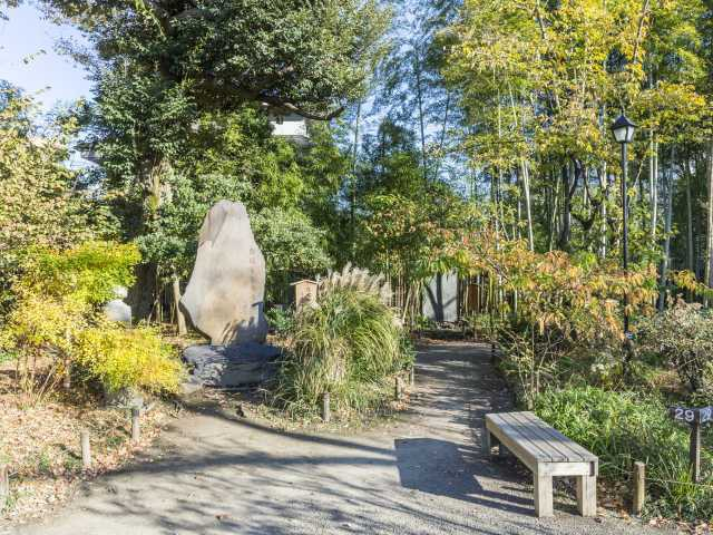 東京都内の庭園おすすめ7.向島百花園(墨田区)