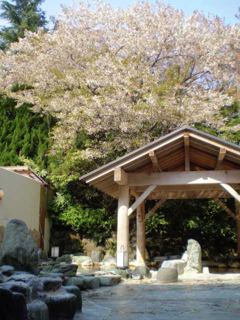 【東京・杉並区の日帰り温泉】高井戸天然温泉 美しの湯