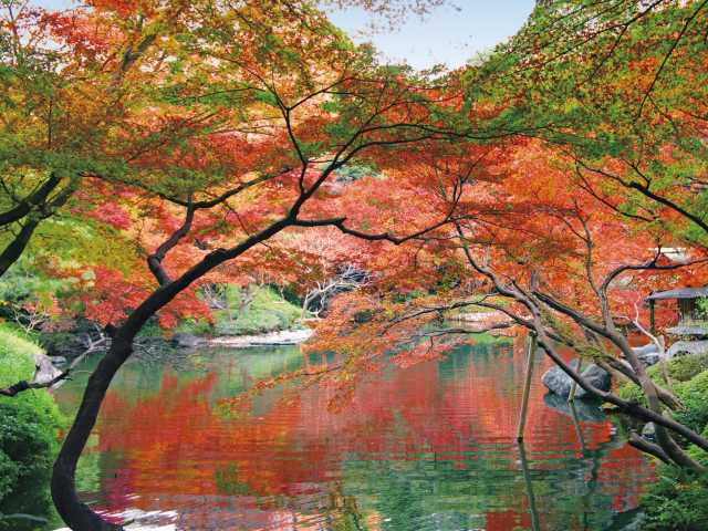 東京都内の庭園おすすめ17.八芳園(港区)