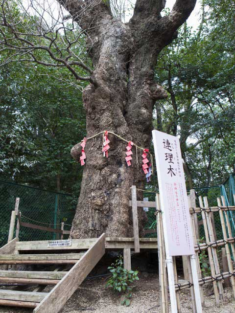 【名古屋の神社⑩】城山八幡宮(本山・東山公園・星が丘)