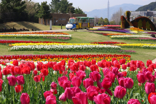 【淡路島 赤ちゃん連れウェルカムの宿】グランドニッコー淡路(淡路市)