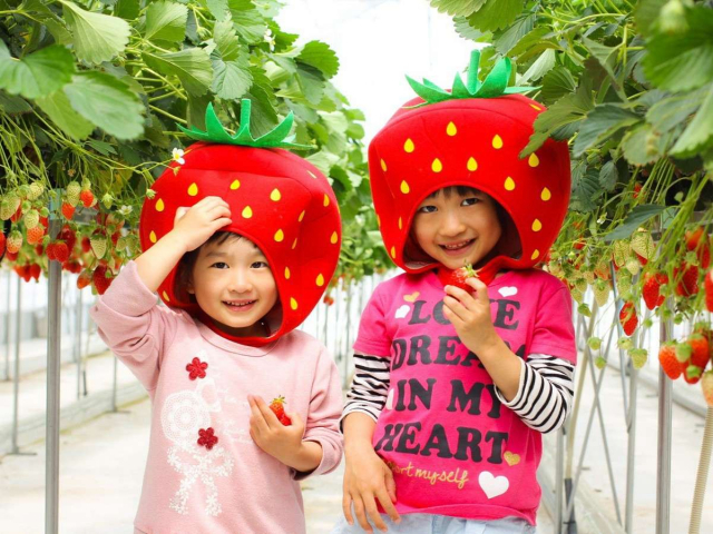 【丹後半島 赤ちゃん連れウェルカムの宿】Hotel&Resorts KYOTO MIYAZU