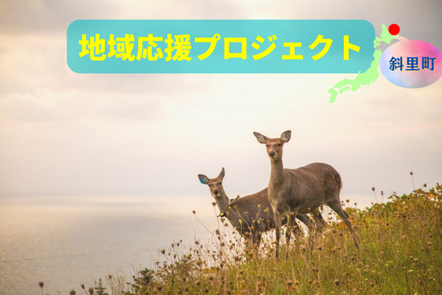 知床の世界遺産観光をもっと楽しむ5つのコツ! 絶景&動物と出会う旅へ