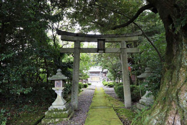 滋賀で会える看板ねこ④【阿志都弥神社 行過天満宮】 静寂に包まれた森の中、由緒ある古社にねこ神さまが降臨……⁉︎