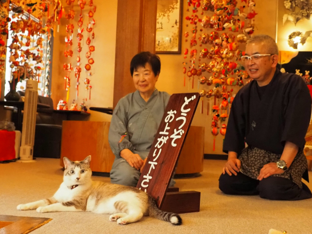 島へ、街へ、温泉へ、猫に会いに行く旅「ねこさんぽ」