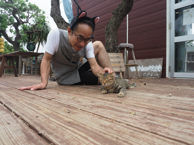 南国・沖縄の離島で、「ねこ」にまみれてきました
