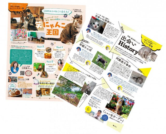 3びきの保護猫と暮らすモデル・松島花さんにもお話を伺いました