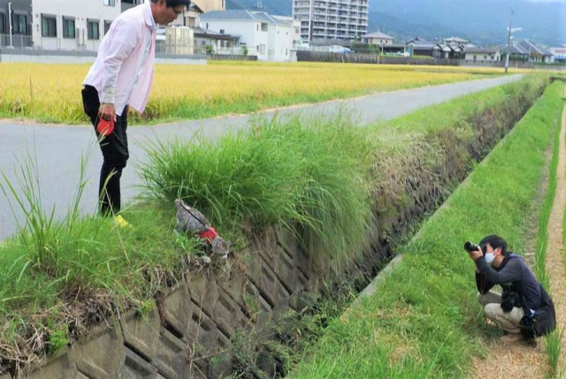 巻頭グラビア特集は、ニャン吉編集長のスペシャルコンテンツ!