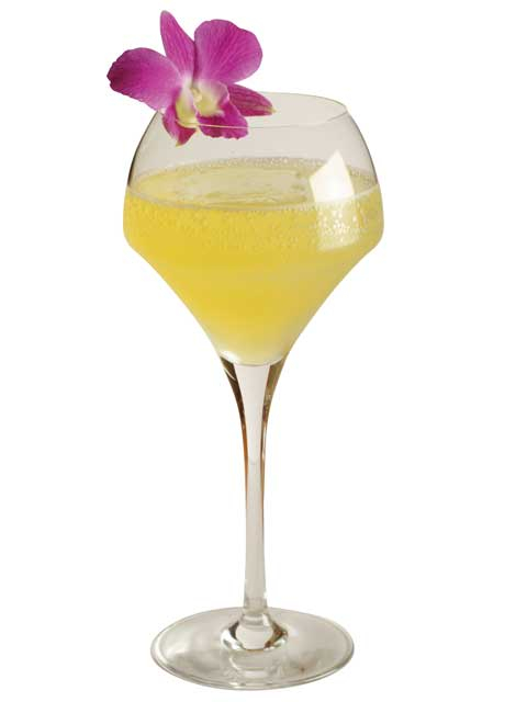 【横浜のバー⑲ 関内駅】Bar Fortune