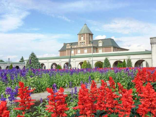 【神戸の日帰り温泉⑰】神戸大沢温泉 金仙花の湯(三田・神戸北)