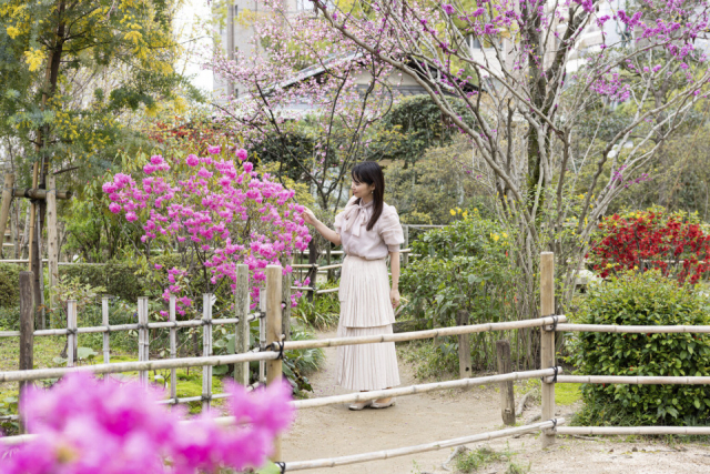 一年を通じて絵になる風景が広がる「縮景園」を散策