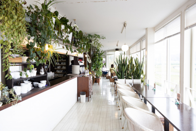 ロケーションもごちそうな「川辺の四季」で野菜が主役のランチをどうぞ