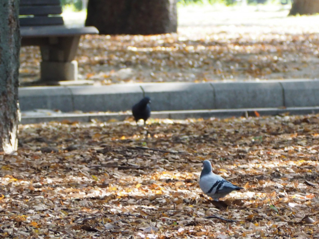 2.広島平和記念公園