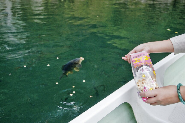 高千穂峡貸しボート