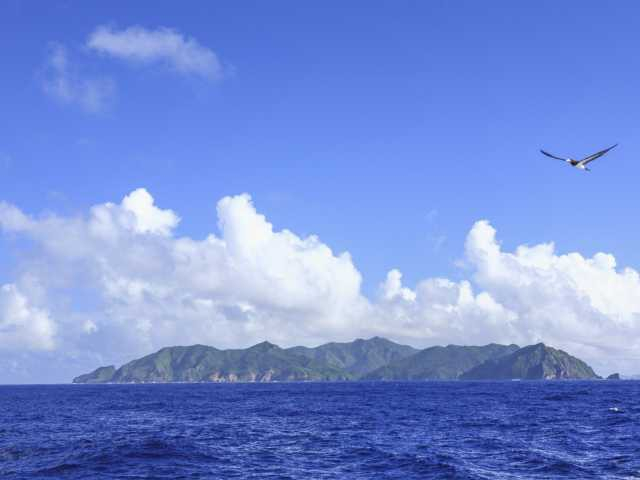 【東京都の離島おすすめ1】母島