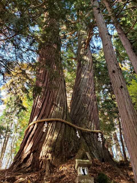 【戸隠神社めぐり2】火之御子社