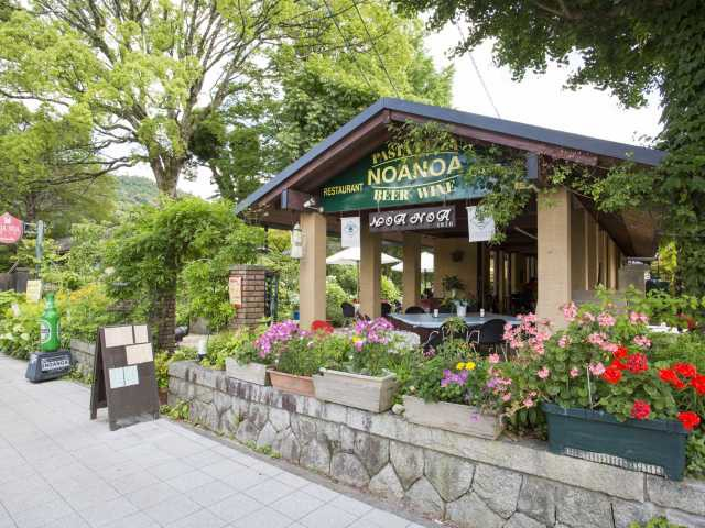 【京都のおすすめ洋食4】レストラン NOANOA(銀閣寺・哲学の道)