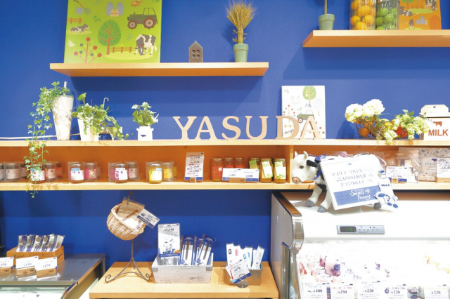 【新潟駅のお土産スポット】YASUDA YOGURT CoCoLo南館店