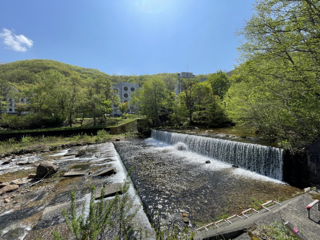 大自然に包まれて「シゼンニトトノウ」? 苗場サウナフィールドも!