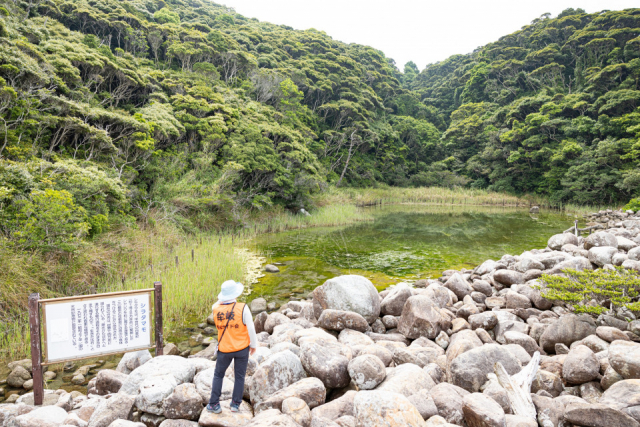 出羽島ガイドウォークを体験してみよう④天然記念物のシラタマモ自生地を見学