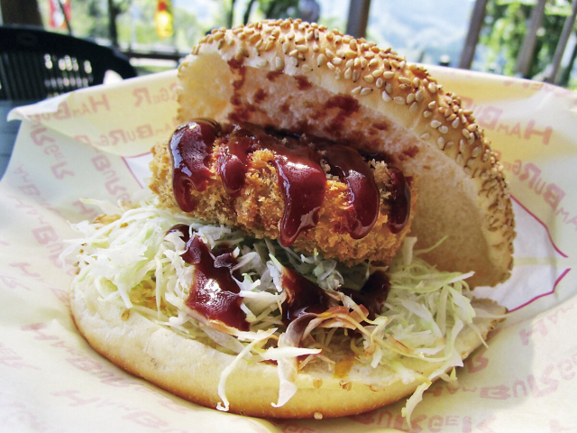 宮崎旅行1泊2日モデルプラン③ 道の駅 高千穂