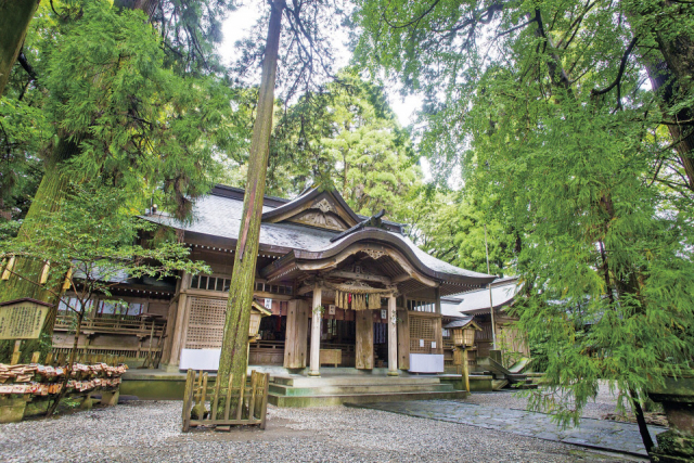 宮崎旅行1泊2日モデルプラン② 高千穂神社
