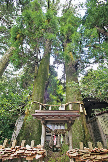 宮崎旅行1泊2日モデルプラン② 高千穂神社
