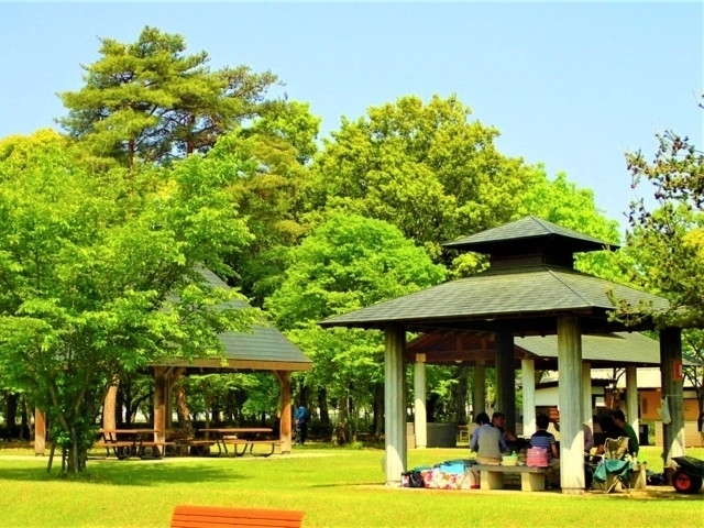 【茨城県・バーベキュースポット】「自然を感じる木立のなかのバーベキュー」「設備充実の安心らくらくバーベキュー」など!茨城のおすすめBBQスポット9軒をご紹介!