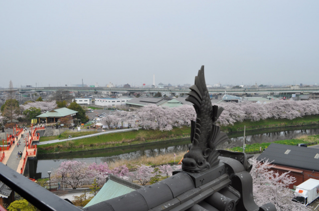 清須の歴史スポットめぐり①清洲城