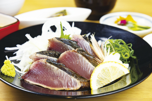 【桂浜 海のテラスをご案内】桂浜美食館 神