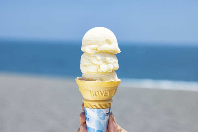 【桂浜 海のテラスをご案内】岩松冷菓