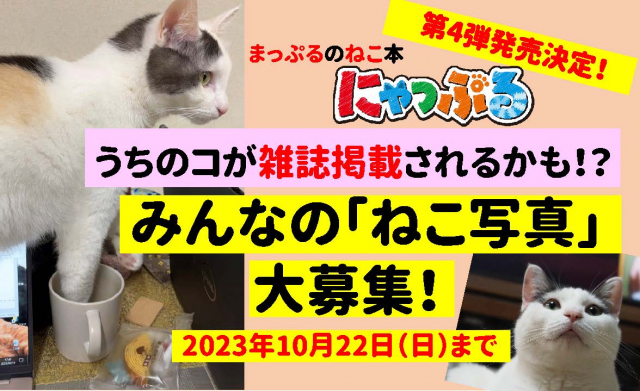 まっぷるのねこ本「にゃっぷる」第4弾発売決定! 今回も、本誌に登場してくれる「ねこ写真」を大募集!