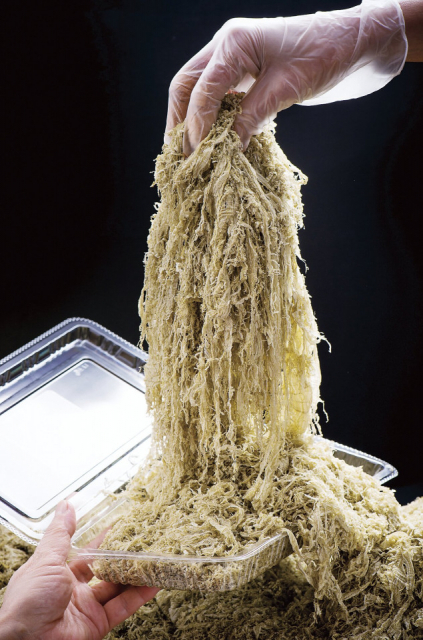 【東尋坊の食べ歩き&お土産探しスポット】「正太楼」