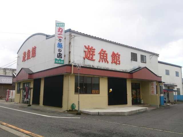 【香住でカニを持ち帰り】遊魚館