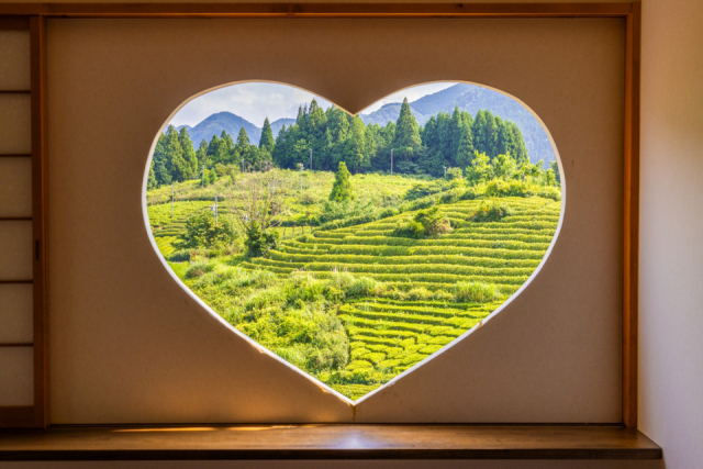 天空の茶畑に佇む「ハートkoyaカフェ」も注目の絶景スポット♡