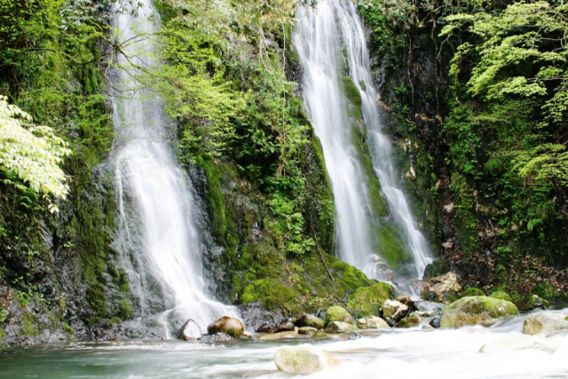揖斐川町の絶景スポット3選② 夫婦滝