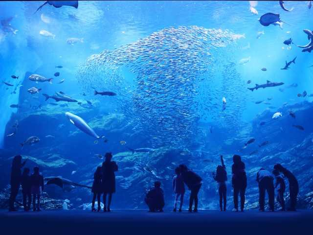 【東北】冬のおすすめ観光スポット30選 冬の東北を遊びつくそう!12月・1月・2月