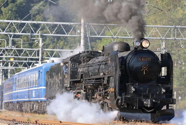 2024年2月は楽しい臨時列車で群馬&栃木へGO! 新しいSL&ELの旅をお届け